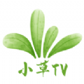 小草TV清爽版