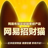 网易招财猫安卓版