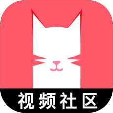 9bbvip猫咪