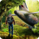 最后生存岛经典版