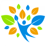 完备程序题库经典版