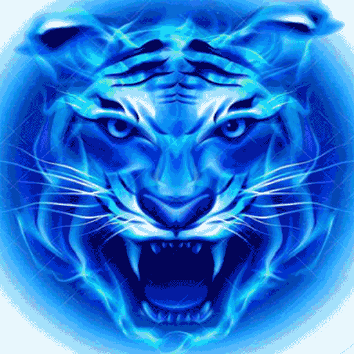 四虎视频福利版