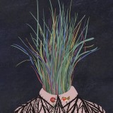 西柚壁纸极速版