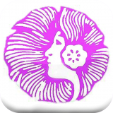 紫屋夫人极速版