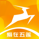 元速莲山安卓版