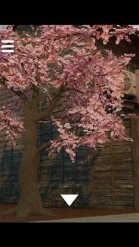 那个年代的风景