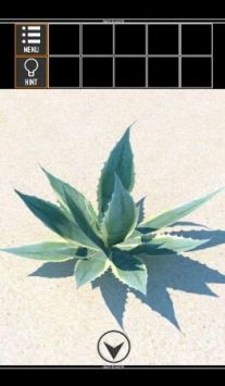 密室逃脱荒岛危机