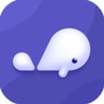 小京鱼安卓无广告版