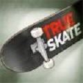 True Skate中文版